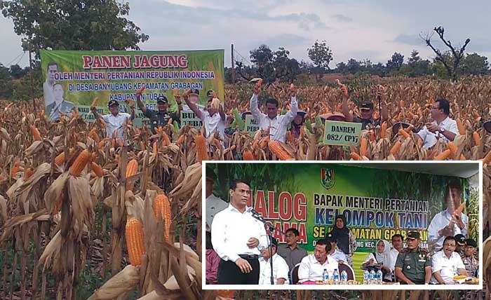 Harga Jagung di Bawah Rp2.300 per Kg, Mentan Minta Petani Tuban Laporkan ke Jakarta